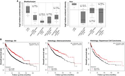 Pathological Significance and Prognostic Value of Surfactant Protein D in Cancer